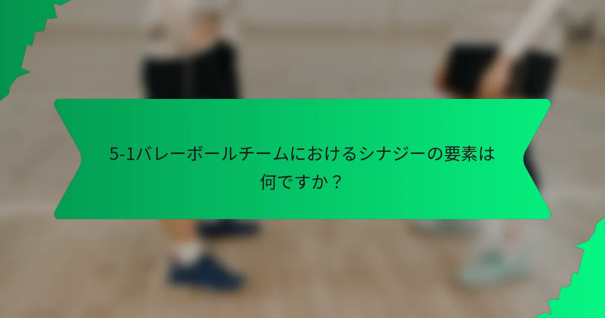 5-1バレーボールチームにおけるシナジーの要素は何ですか?
