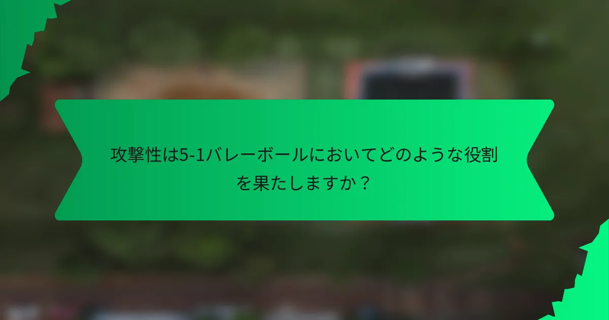 攻撃性は5-1バレーボールにおいてどのような役割を果たしますか？